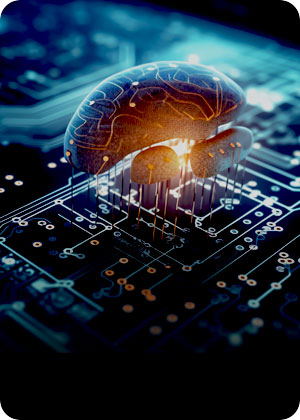 专属模型训练与微调